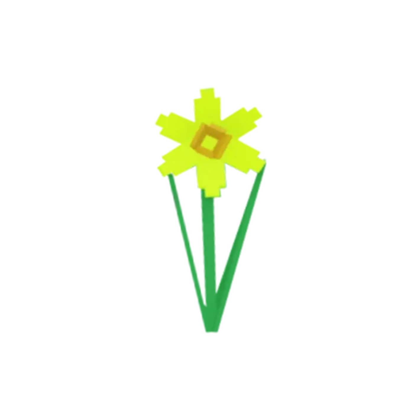 Daffodil